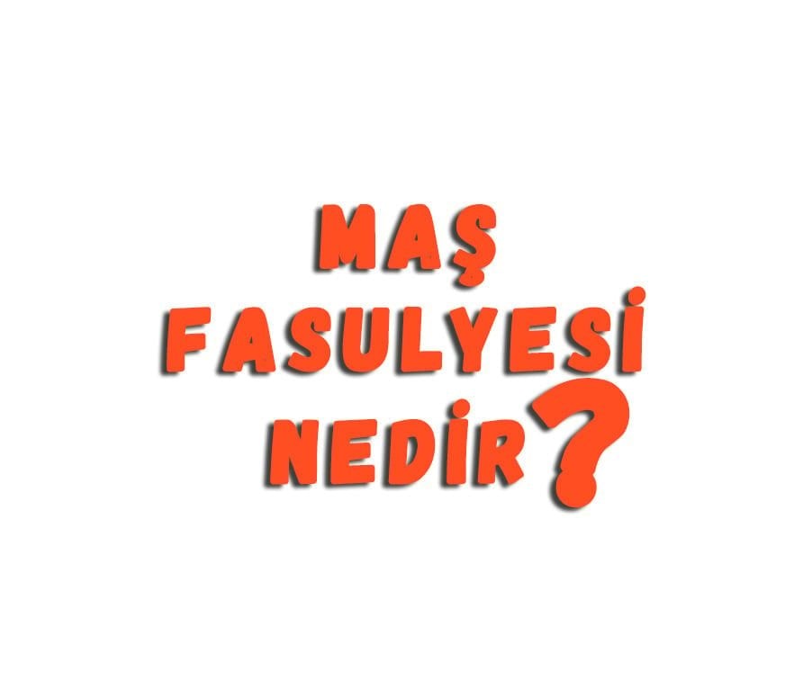 Maş Fasulyesi Nedir