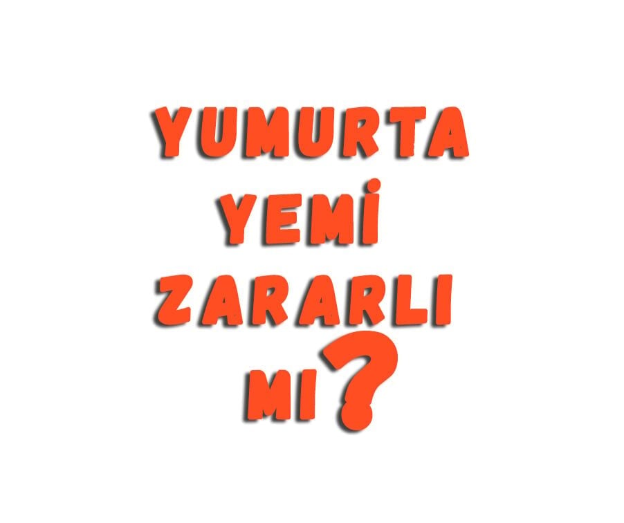 Yumurta Yemi Zararlı Mı