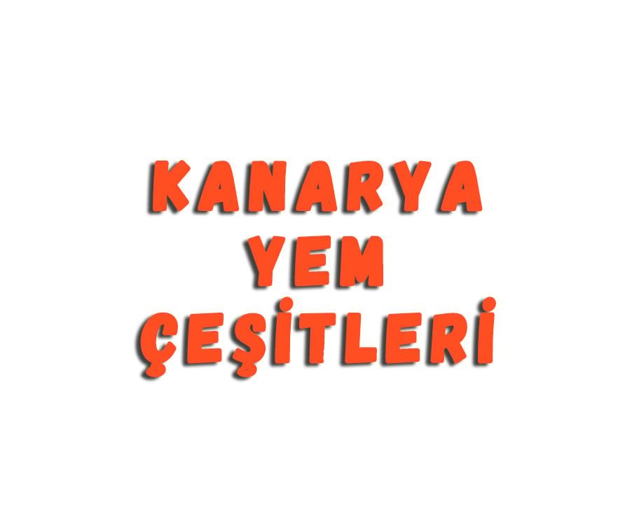 Kanarya Yem Çeşitleri