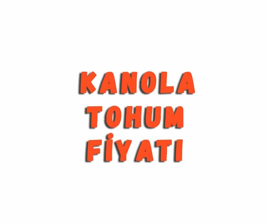 Kanola Tohum Fiyatı