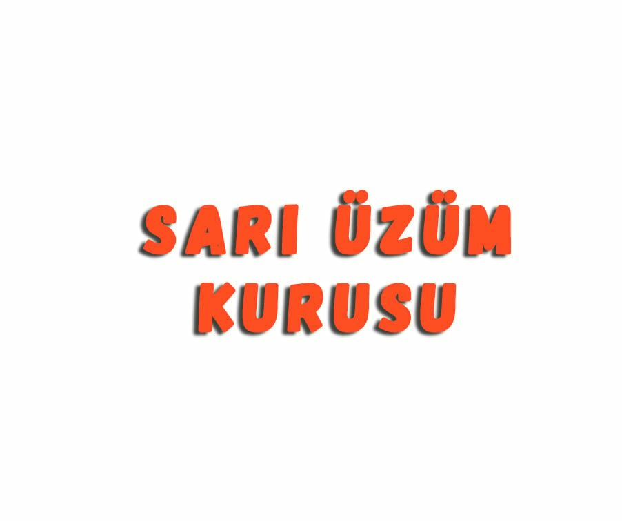 Sarı Üzüm Kurusu