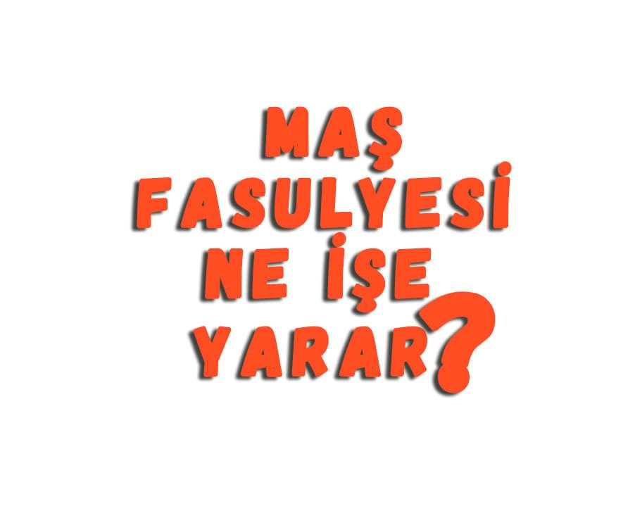 Maş Fasulyesi Ne İşe Yarar