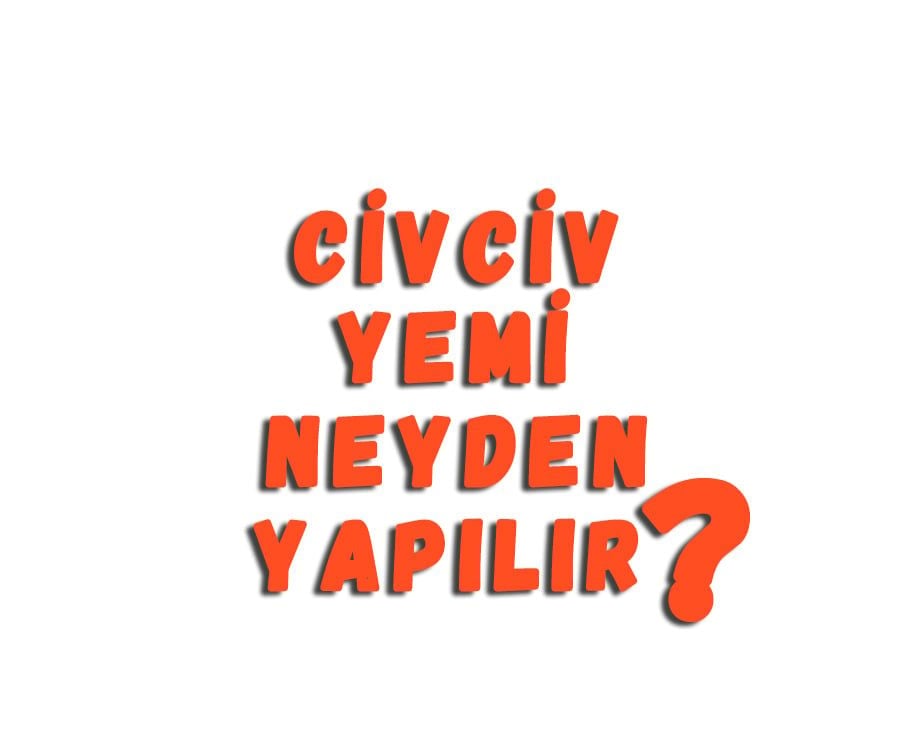 Civciv Yemi Neyden Yapılır