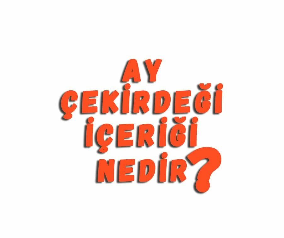Ay Çekirdeği İçi Nedir